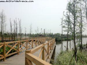 Parc du lac Haizu - Canton