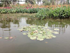 Parc du lac Haizu - Canton