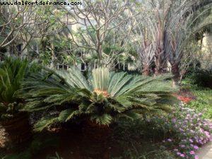 Sheraton Sanya Resort - Sanya - Baie de Yalong - Île de Hainan