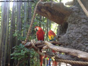 Animal Kingdom - Walt Disney World