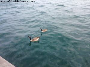 Lake front area - Toronto