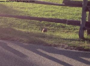 Hiking in Mont Tremblant