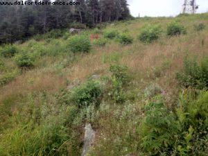 Hiking in Mont Tremblant