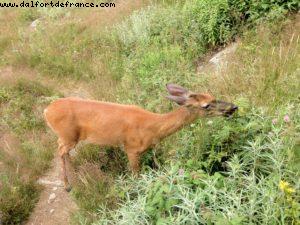 Hiking in Mont Tremblant