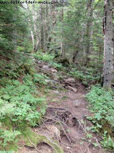 Hiking in Mont Tremblant