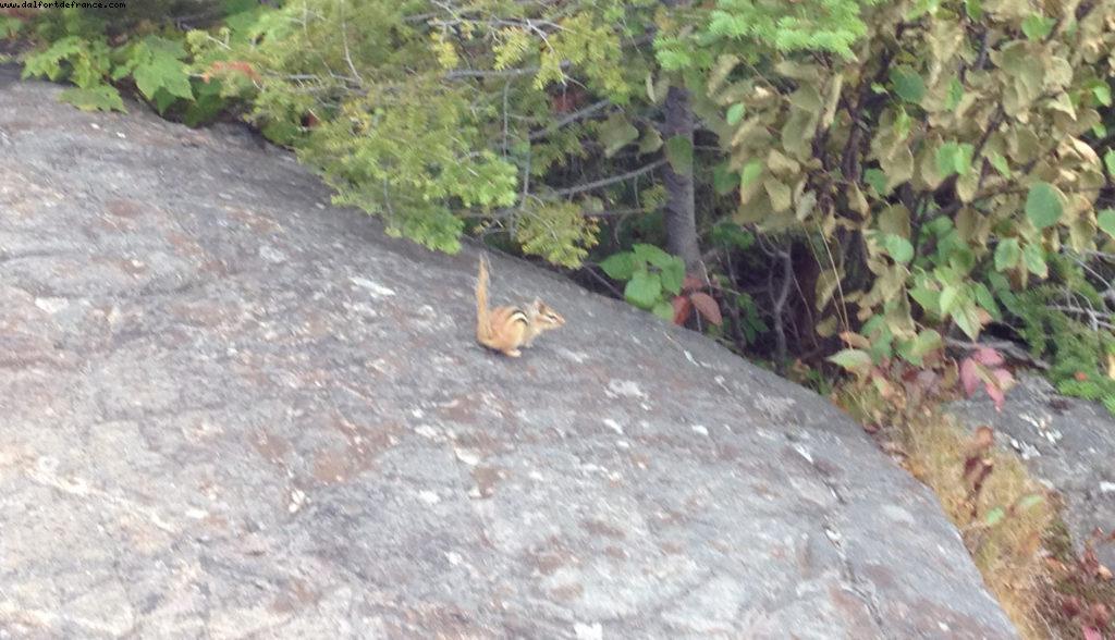 Hiking in Mont Tremblant