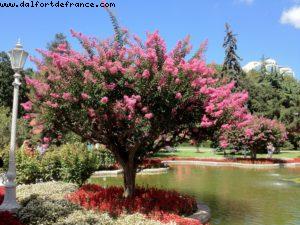 Dolmabahce Palace - Istanbul - Our 43rd Atlantis cruise (Celebrity Equinoxe)