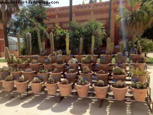 Palermo - Our 43rd Atlantis cruise (Celebrity Equinoxe)