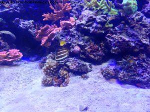 Epcot - Walt Disney World