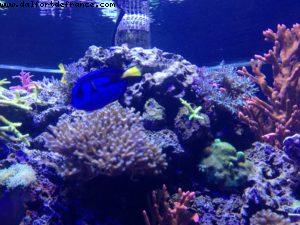 Epcot - Walt Disney World