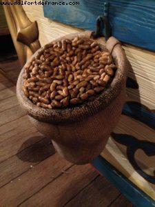 New Fantasyland - Magic Kingdom - Walt Disney World