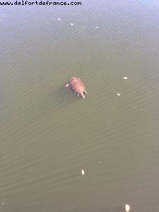 Epcot - Walt Disney World