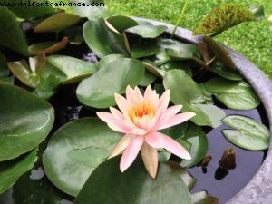 Sukhothai Hotel - Bangkok