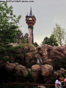 New Fantasyland