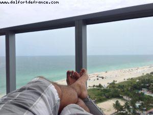 W Hotel - Miami Beach