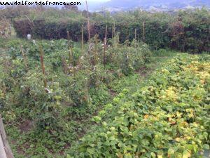 San Sebastian - Our 47th Atlantis cruise (Celebrity Constellation)