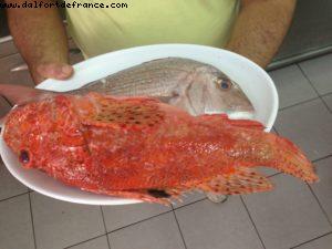 Sunset Taverna - Our 46th Atlantis cruise (Celebrity Silhouhette)