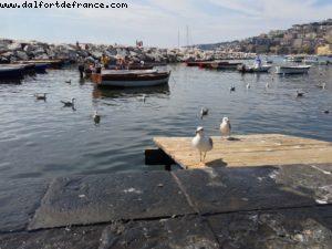 Naples - Our 46th Atlantis cruise (Celebrity Silhouhette)