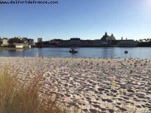 Dolphin Hotel - Orlando