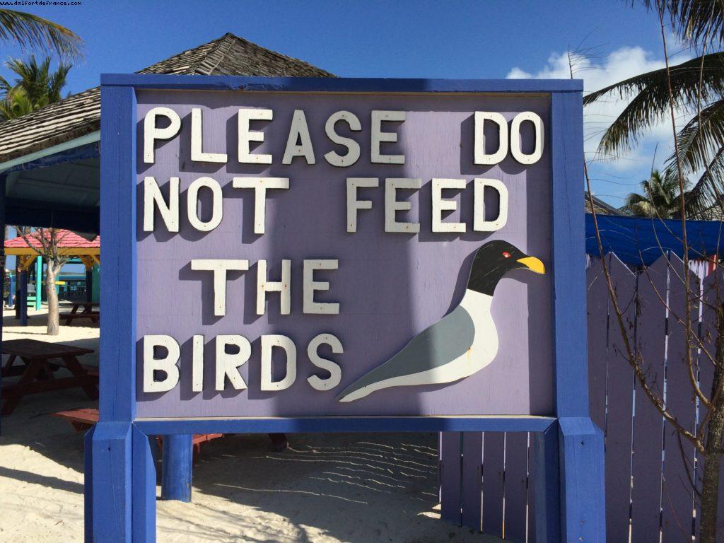 Coco Cay - Our 48th Atlantis Cruise (Celebrity Silhouette)