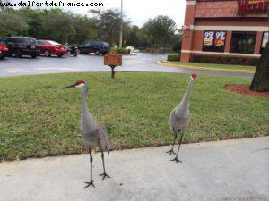 Driving between Fort Lauderdale and Cocoa Beach