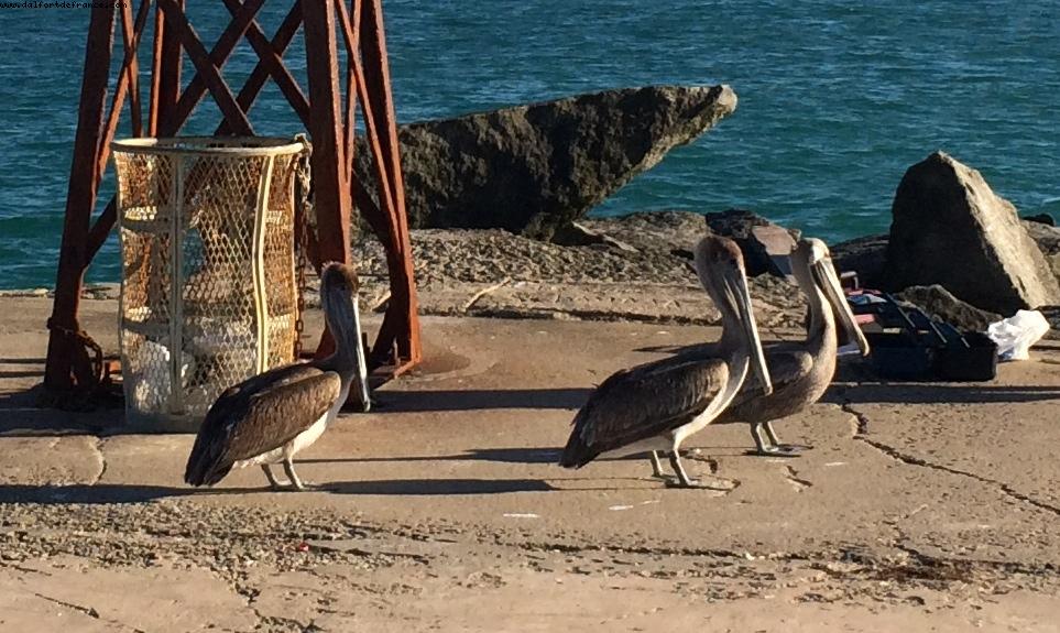 Bal Harbor - Miami Beach