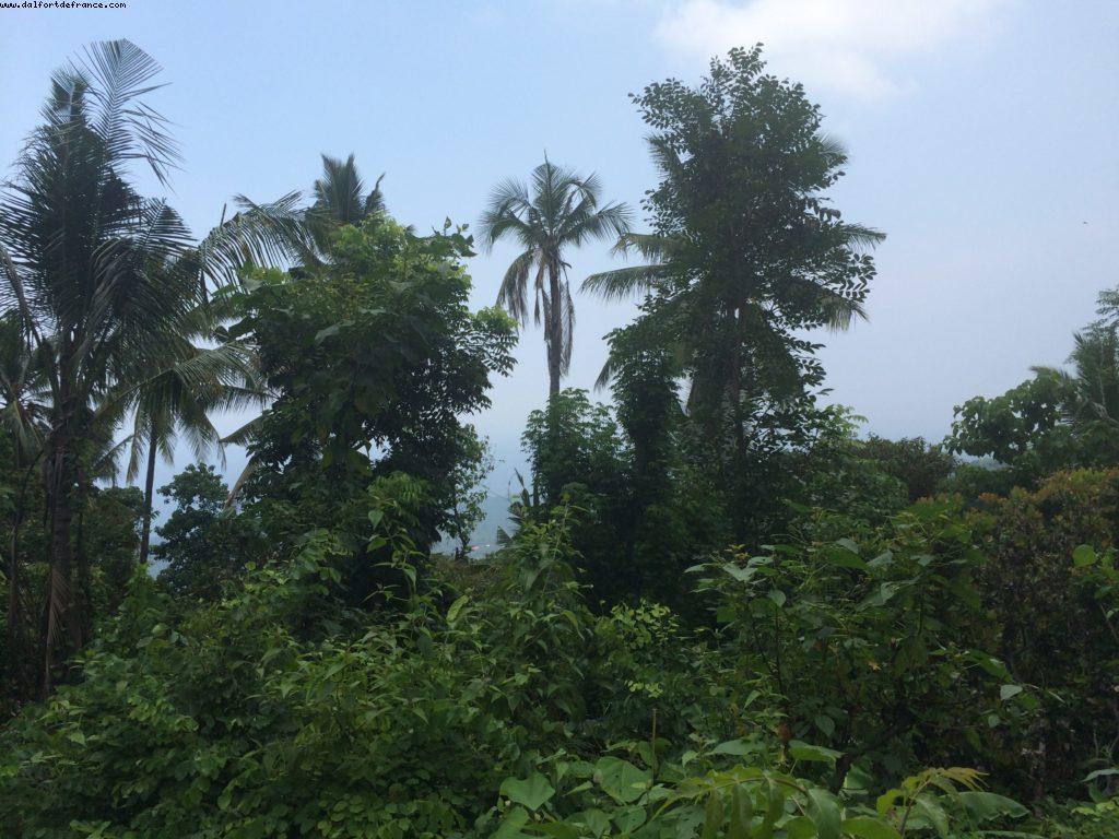 Jungle and sea view - Sembiran - Bali - Our 50th Atlantis cruise (Celebrity Equinox)