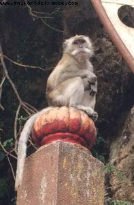 Batu Caves - Kuala Lumpur - Our 50th Atlantis cruise (Celebrity Equinox)