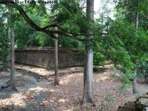Angkor Temples - Siem Reap