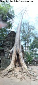 Angkor Temples - Siem Reap