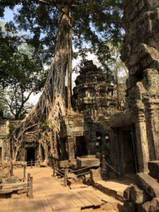 Angkor Temples - Siem Reap