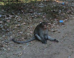 Angkor Temples - Siem Reap