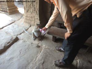 Angkor Temples - Siem Reap