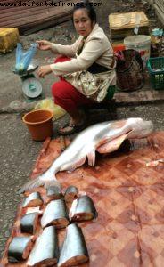 Morning market - Luang Prabang