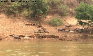 Mekong River cruise to Batu Cave- Luang Prabang