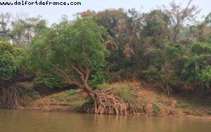 Mekong River cruise to Batu Cave- Luang Prabang