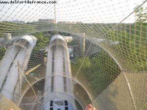 Riptide - Typhoon Lagoon - Walt Disney World