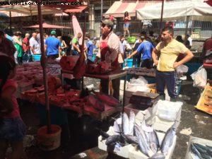 Catania - Our 50th Atlantis cruise (Celebrity Equinox)