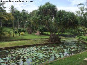 Jardins du lac - Kuala Lumpur