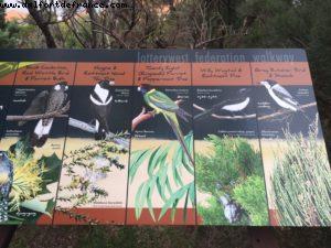 Kings Park et Jardin botanique - Perth