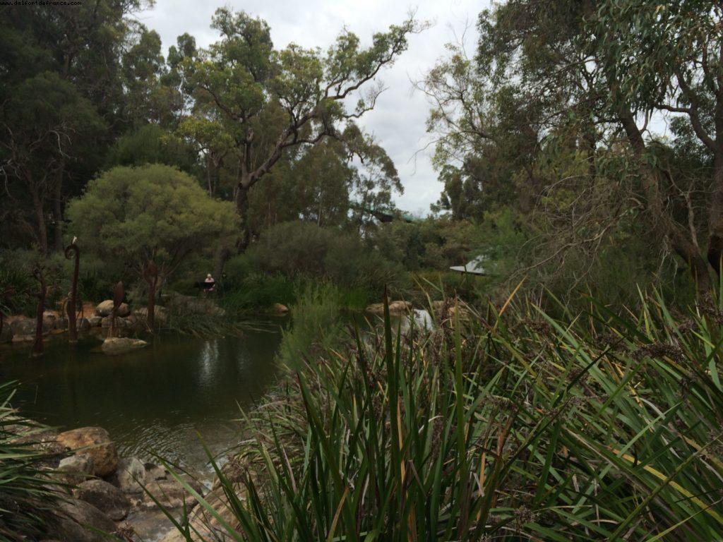 Kings Park et Jardin botanique - Perth