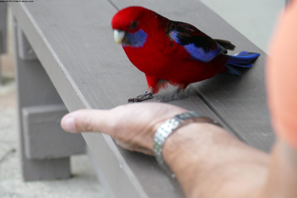 Beacon Point - Appolo Bay - Grat Ocean road - Victoria