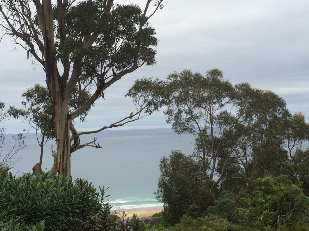 Beacon Point - Appolo Bay - Great Ocean Road - Victoria