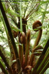 Great Ocean road - Victoria