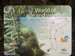 Great Ocean Road - Victoria