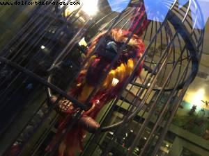 Diagon Alley - Universal Studios - Orlando, Florida (November 2014)