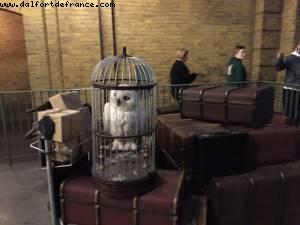 King's Cross - Universal Studios - Orlando, Florida (November 2014)