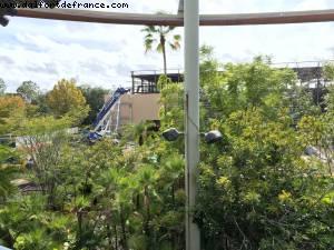 King Kong Constructions - Island of Adventure - Universal - Orlando, Florida (November 2014)