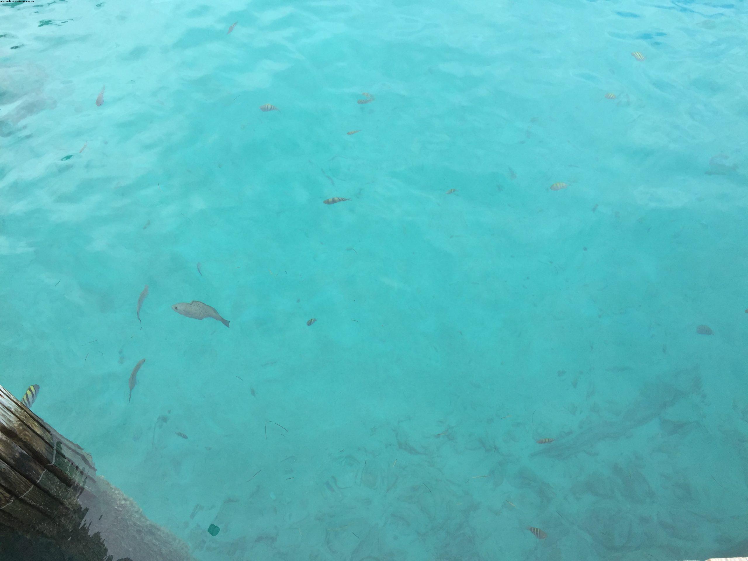 Princess Cay - Private Island - Bahamas - Our 11th RSVP cruise (Regal Princess)