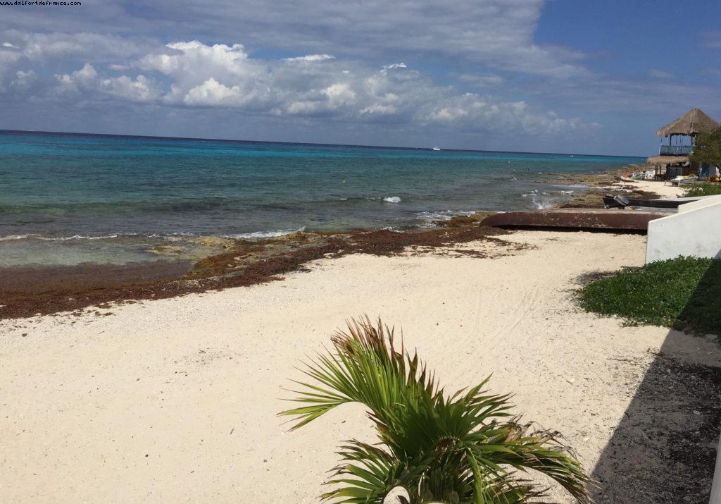 Cozumel - Our 11th RSVP cruise (Regal Princess)